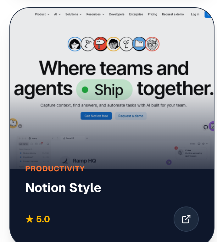 Notion Style